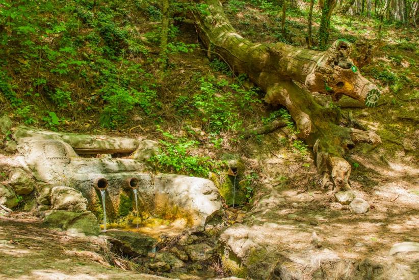 Відрадне з panoramio.com - Отрадное