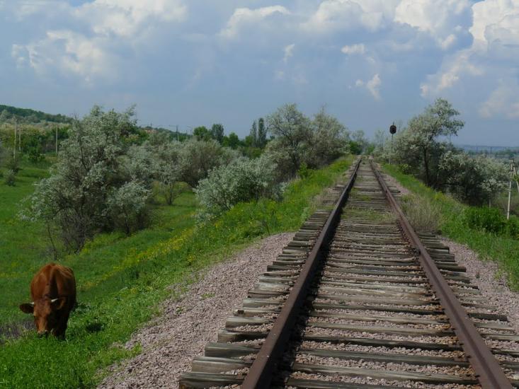Степногірськ з panoramio.com - Степногірськ