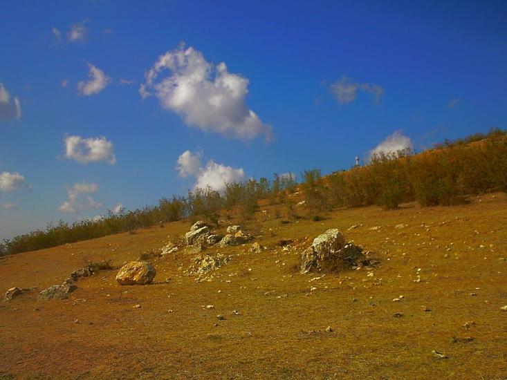 Рєпіне з panoramio.com - Рєпіне