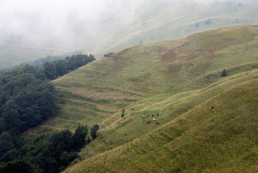 Руська Мокра з panoramio.com - Русская Мокрая