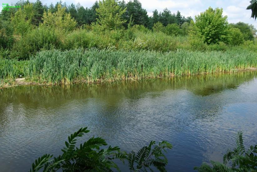 Лабурівка з panoramio.com - Лабуревка