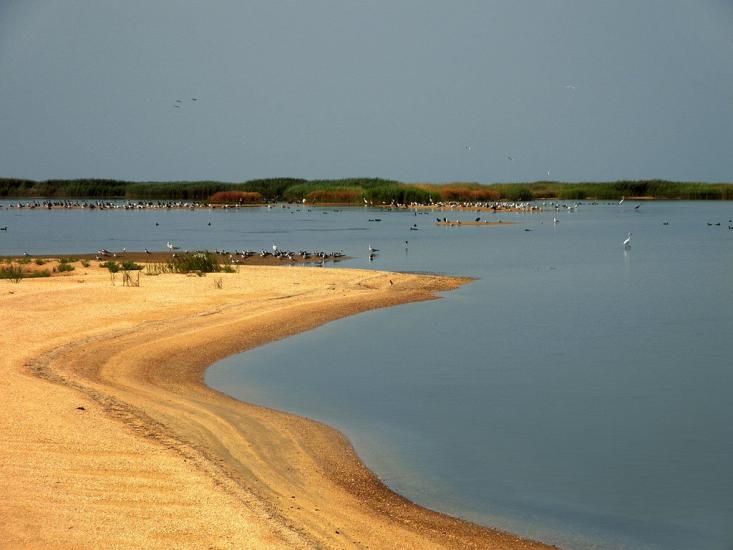 Сєдове з panoramio.com - Седово