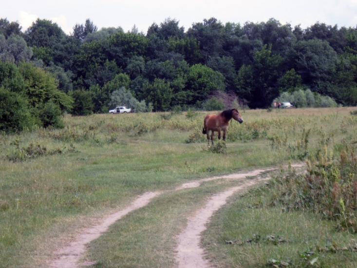 Путивль з panoramio.com - Путивль