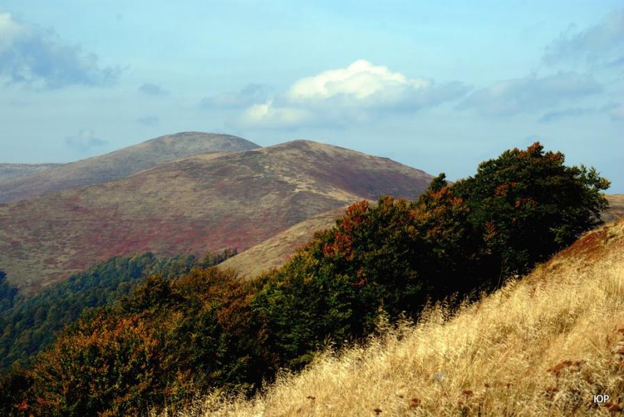 Потік з panoramio.com - Поток
