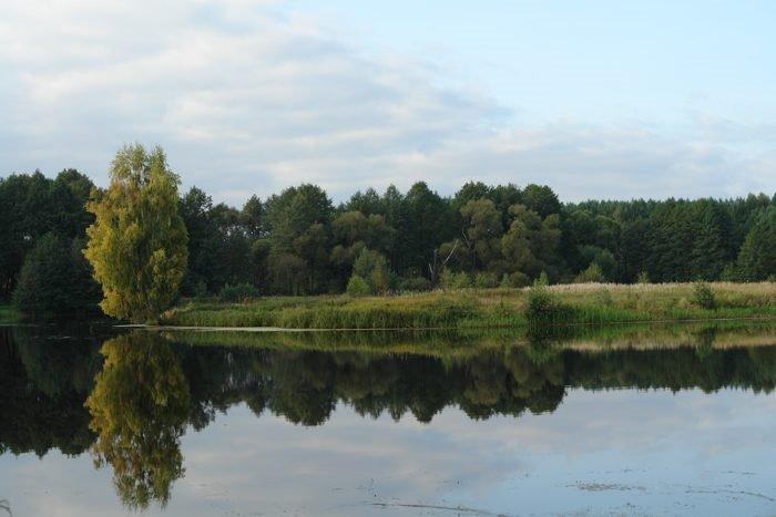 Нові Яриловичі з panoramio.com - Нові Яриловичі