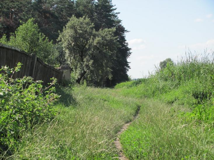 Віта-Поштова з panoramio.com - Вита-Почтовая
