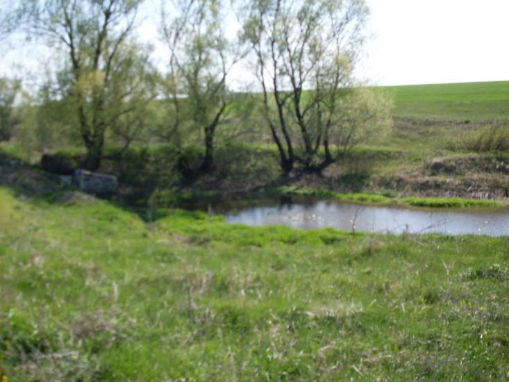 Куна з panoramio.com - Kuna