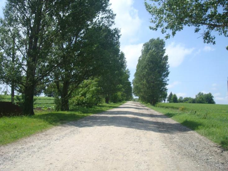 Черепова з panoramio.com - Черепова