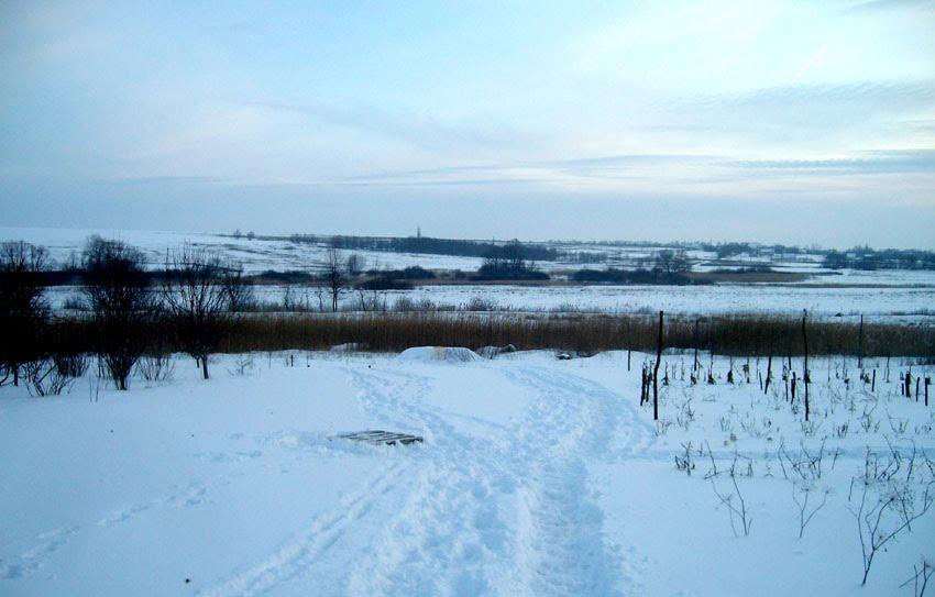 Черкаські Тишки з panoramio.com - Черкаські Тишки