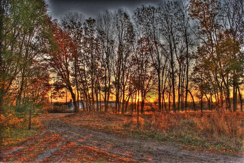 Коротич з panoramio.com - Коротыч