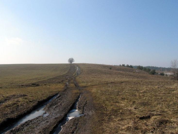 Битиця з panoramio.com - Битица