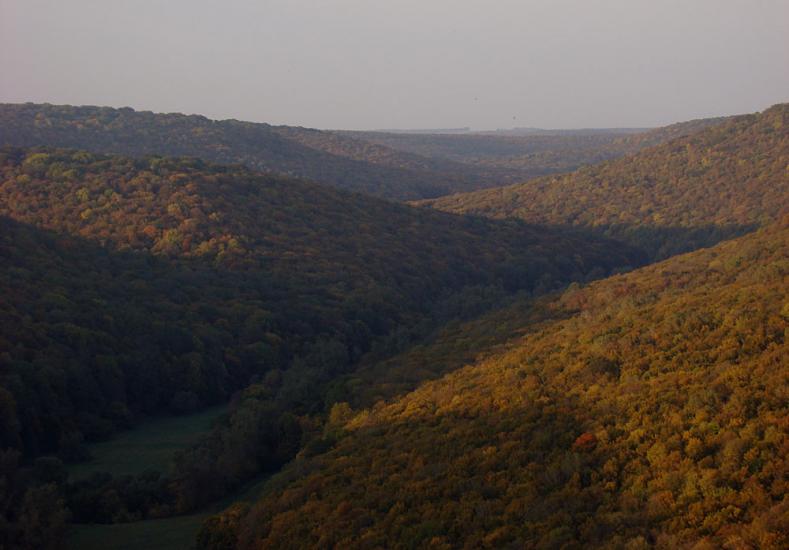 Іванківці з panoramio.com - Іванківці