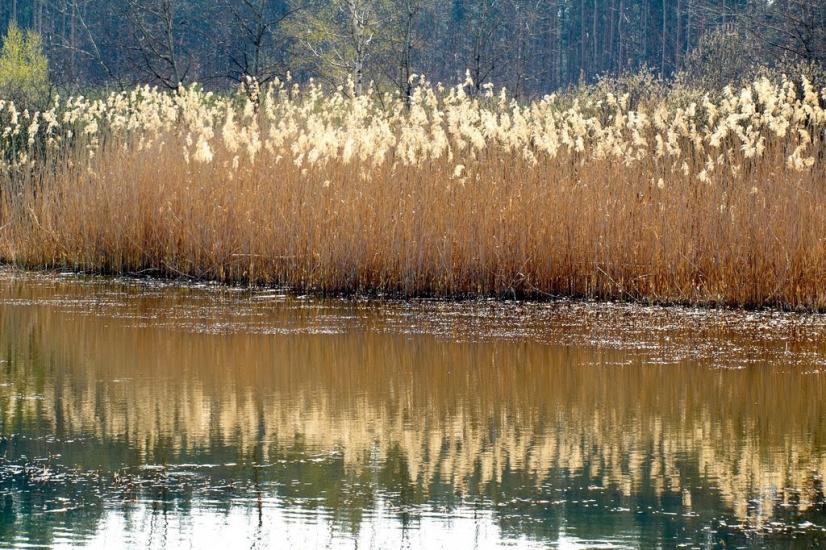 Металівка з panoramio.com - Металівка