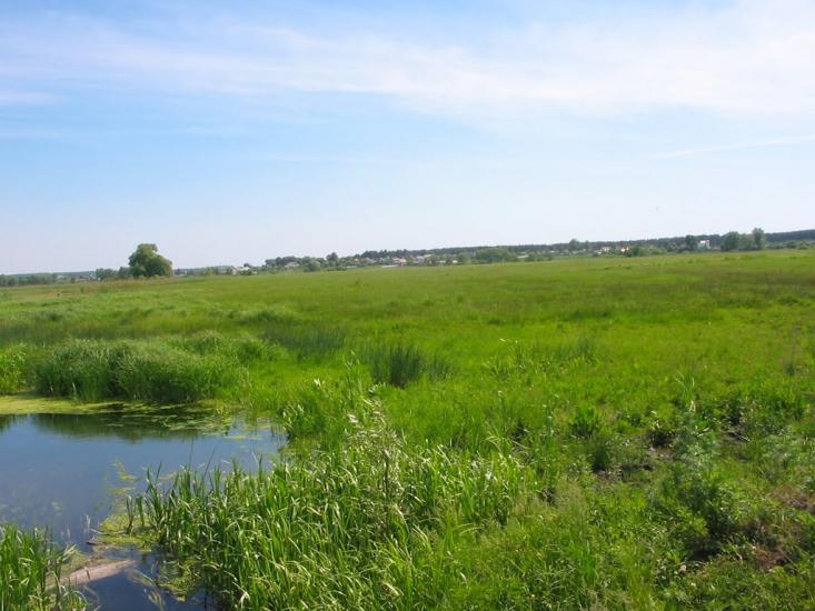 Циркуни з panoramio.com - Циркуни