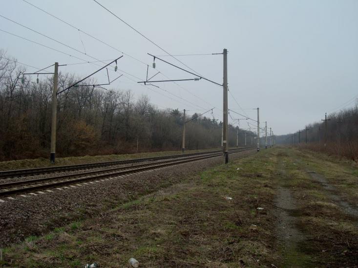 Васютинці з panoramio.com - Васютинці