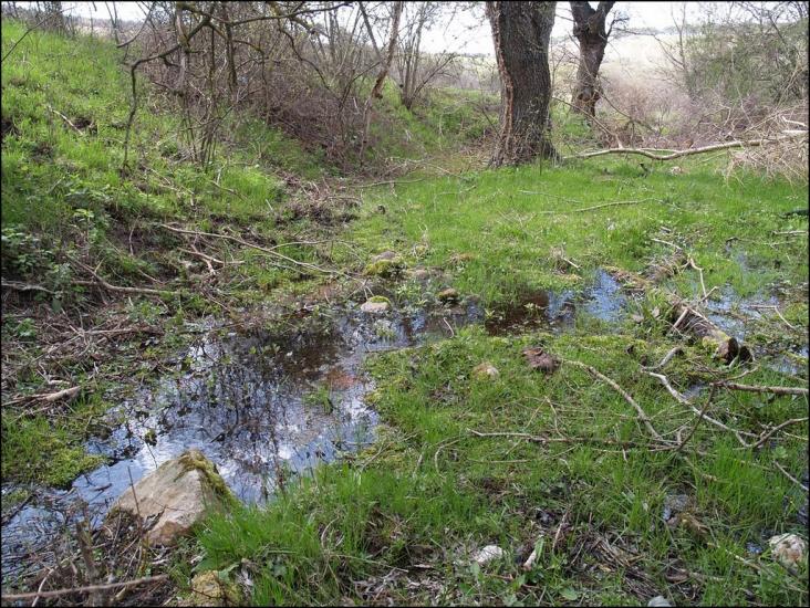 Костянтинівка з panoramio.com - Костянтинівка