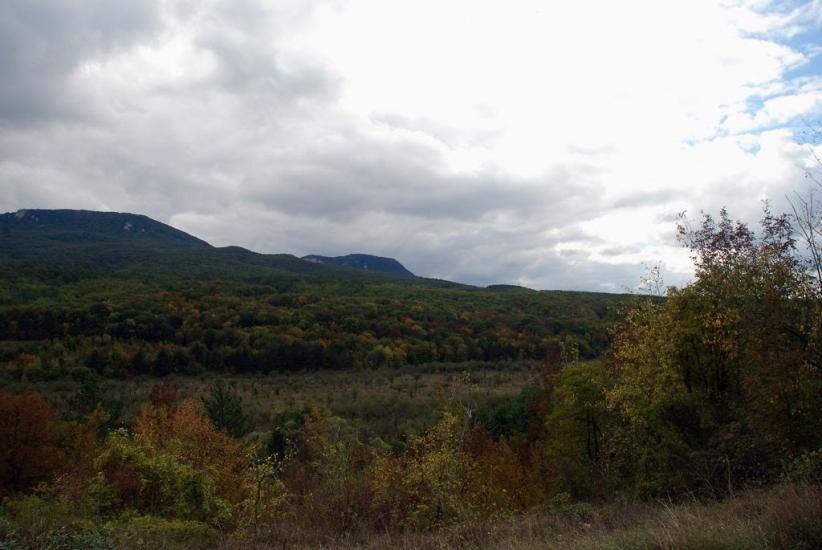 Щасливе з panoramio.com - Schaslyve