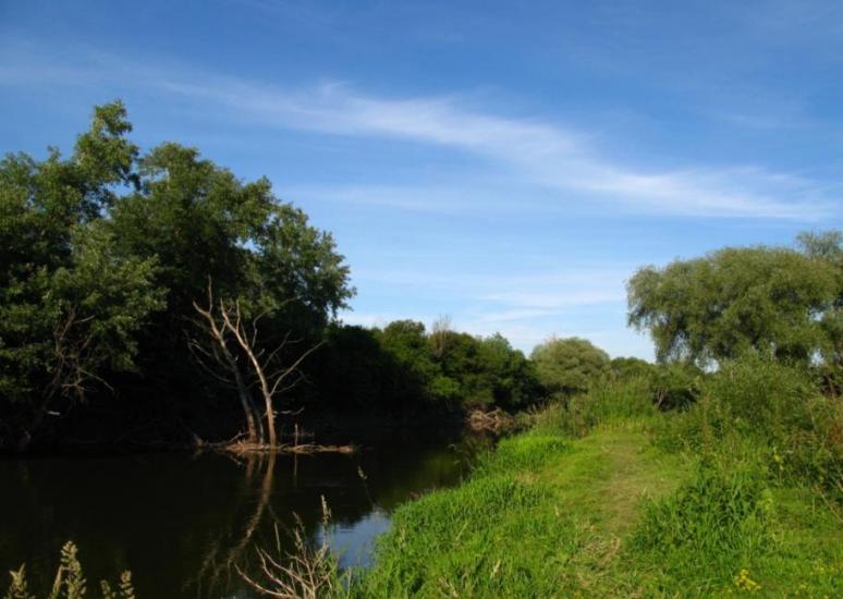 Литовеж з panoramio.com - Литовеж