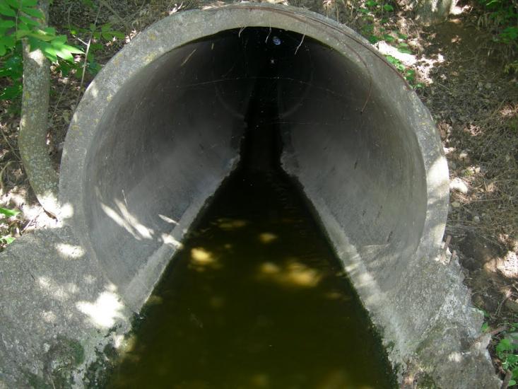 Пересадівка з panoramio.com - Пересадовка