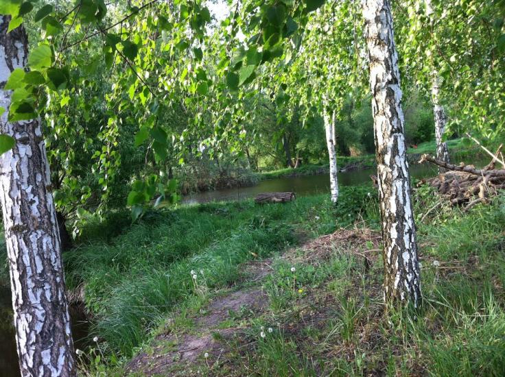 Іванівка з panoramio.com - Іванівка