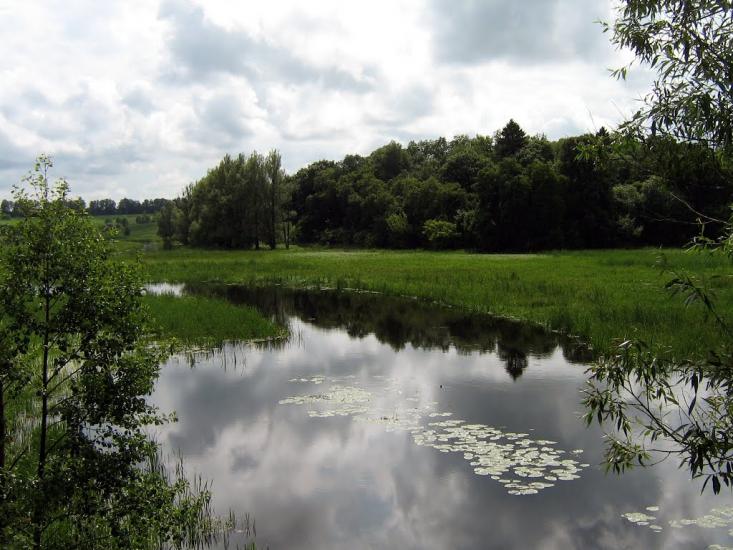 Лука з panoramio.com - Лука