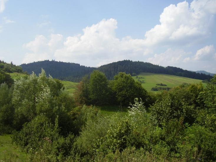 Бусовисько з panoramio.com - Бусовиско