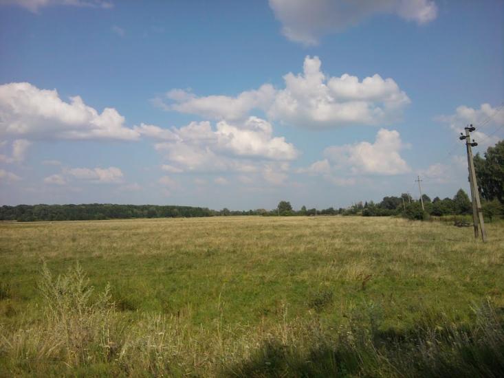 Терехівка з panoramio.com - Тереховка