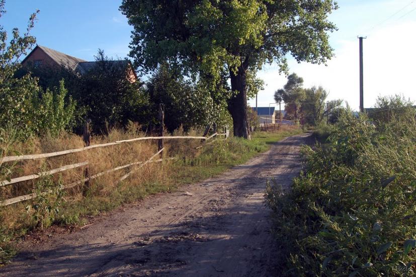 Борівське з panoramio.com - Боровское