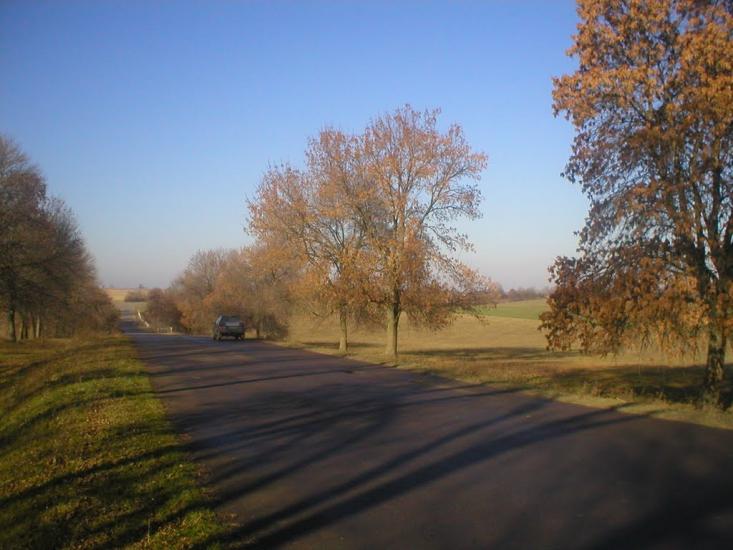 Набережне з panoramio.com - Набережное