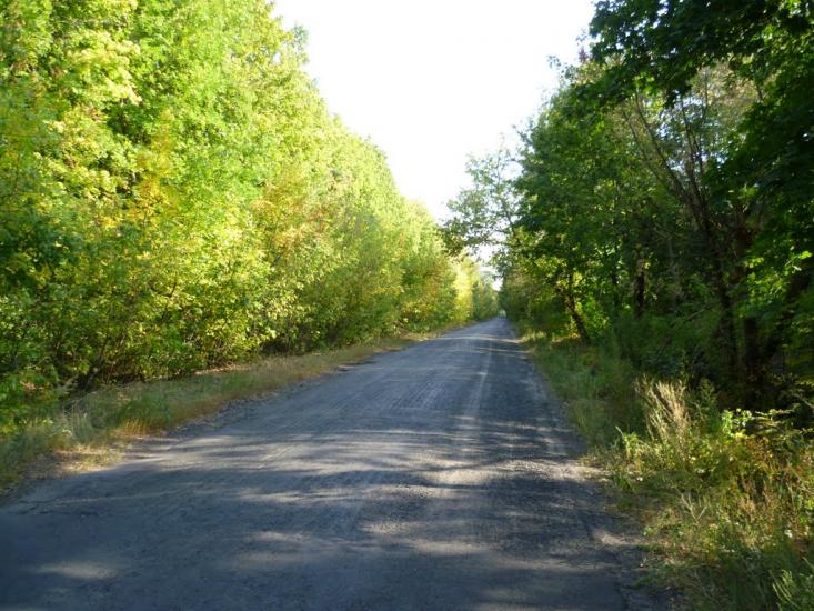 Гоголеве з panoramio.com - Gogoleve