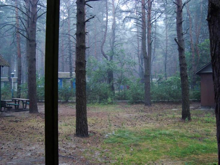 Прохорівка з panoramio.com - Prokhorivka