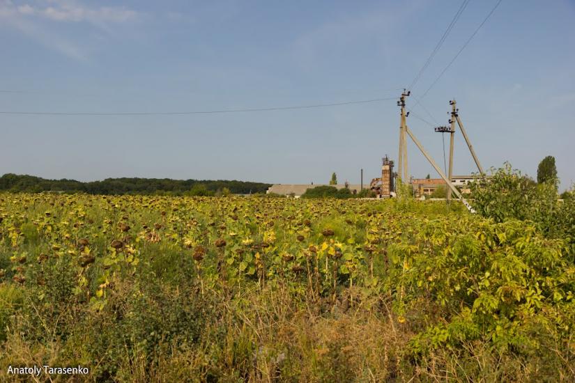 Федорівка з panoramio.com - Fedorivka