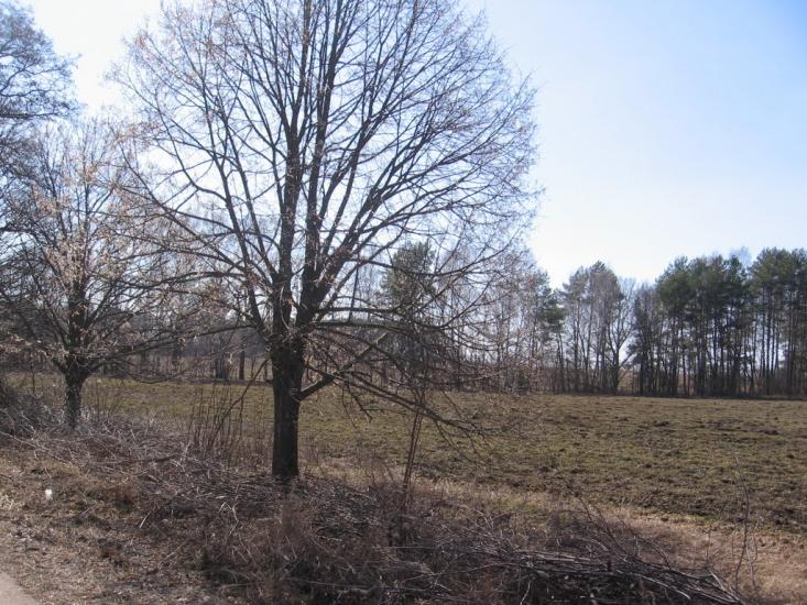 Петрушин з panoramio.com - Petrushyn