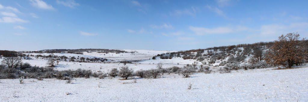Живописне з panoramio.com - Живописне