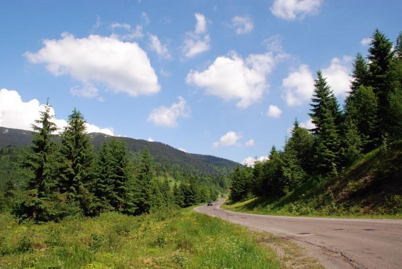 Стригальня з panoramio.com - Strygalnya