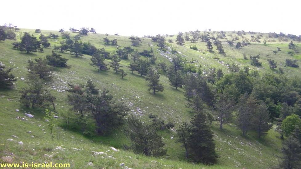 Многоріччя з panoramio.com - Многоречье