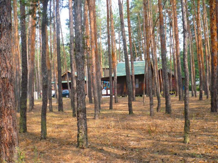 Райгородок з panoramio.com - Raygorodok