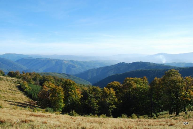 Березники з panoramio.com - Березники