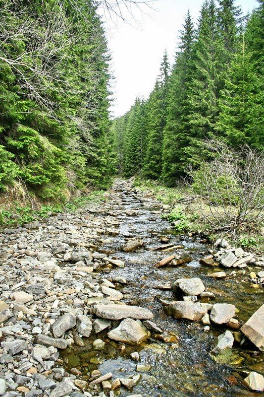 Черник з panoramio.com - Черник