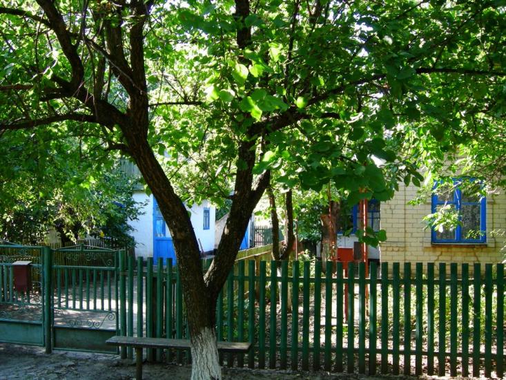 Михайлівка з panoramio.com - Михайловка