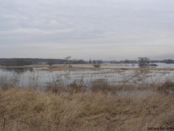 Литовеж з panoramio.com - Литовеж