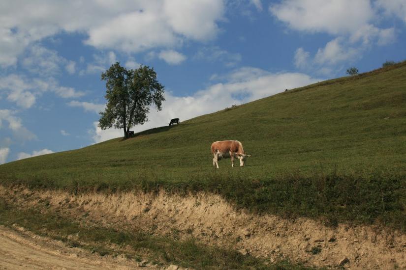 Ільці з panoramio.com - Ильцы