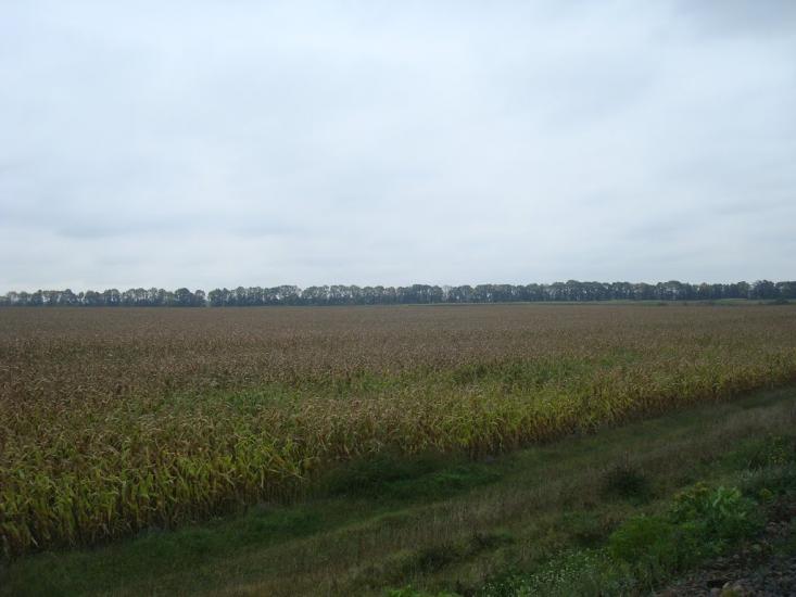 Григорівка з panoramio.com - Grygorivka