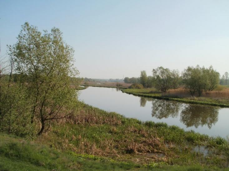 Куна з panoramio.com - Куна