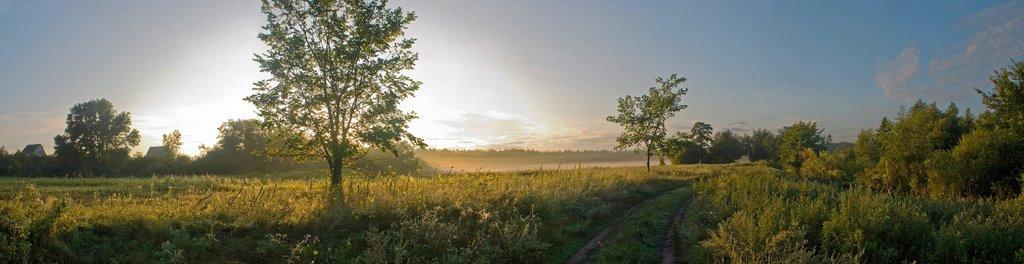 Пилівка з panoramio.com - Пилівка