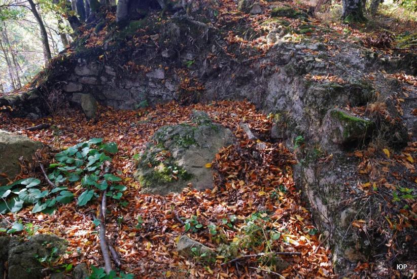 Бронька з panoramio.com - Бронька