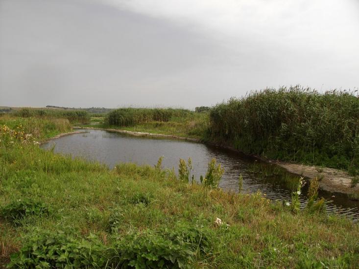 Усть-Лип'янка з panoramio.com - Усть-Липянка