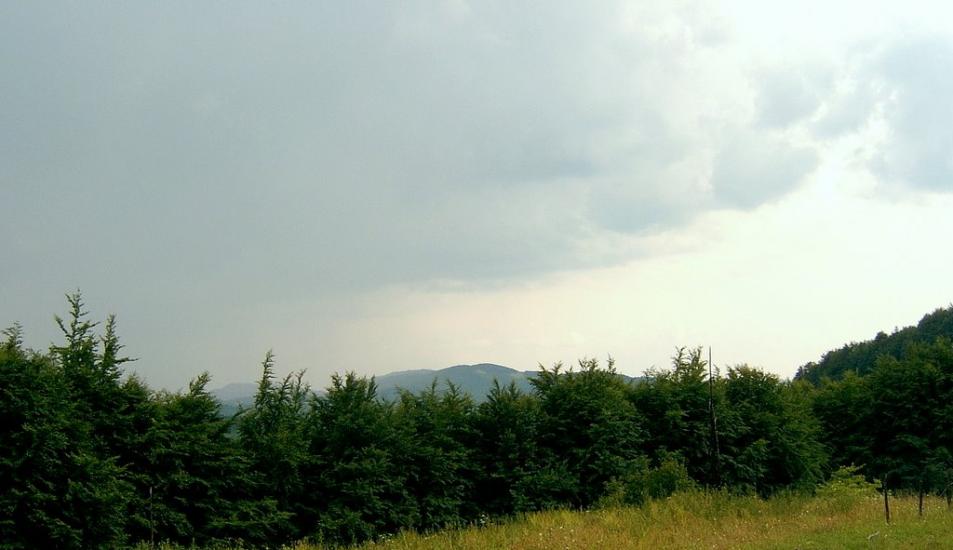 Карпатське з panoramio.com - Карпатське