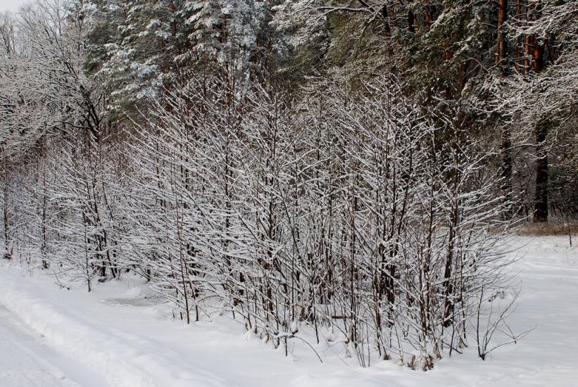 Геронимівка з panoramio.com - Геронимовка