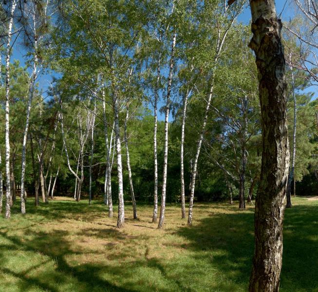 Мізікевича з panoramio.com - Mizikevycha